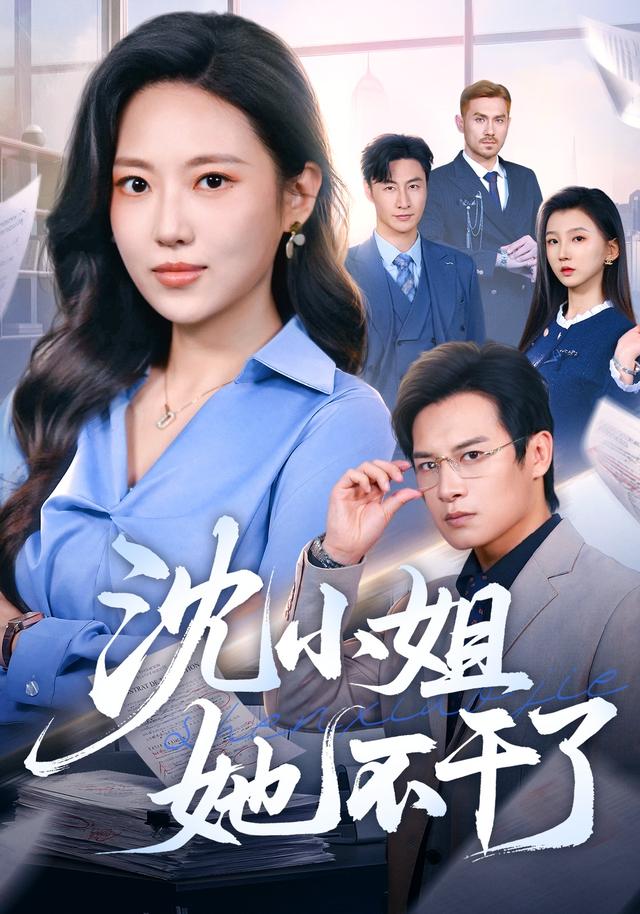 沈小姐她不干了海报